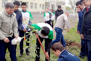 Возле школы будет сад